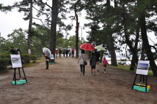 Like! Amanohashidate Matsunamiki Museum