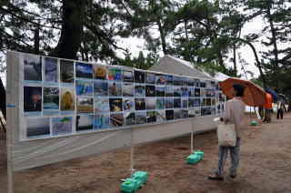 Like! Amanohashidate Matsunamiki Museum
